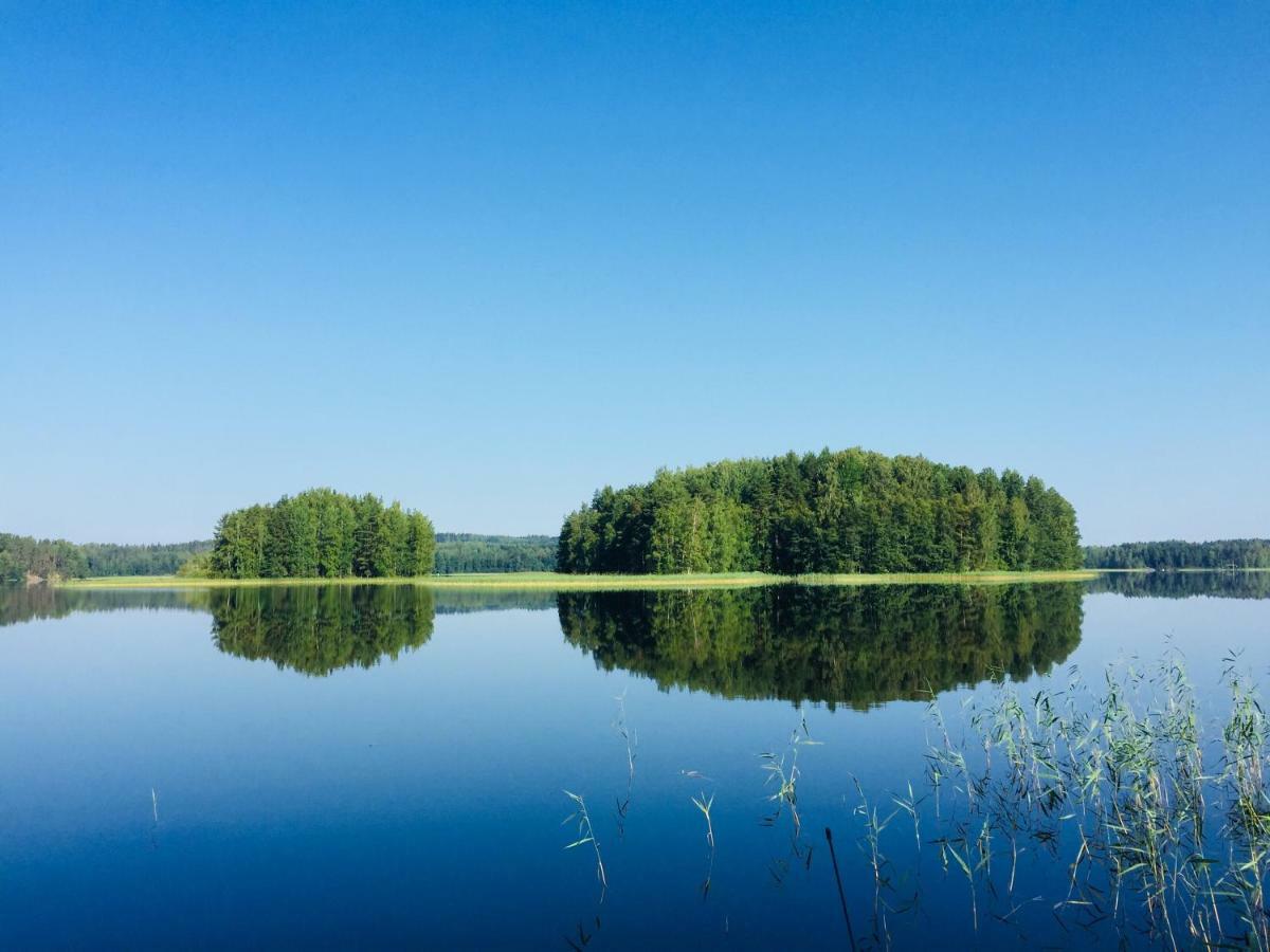 Ollinmäki Vineyard Otel Anttola Dış mekan fotoğraf